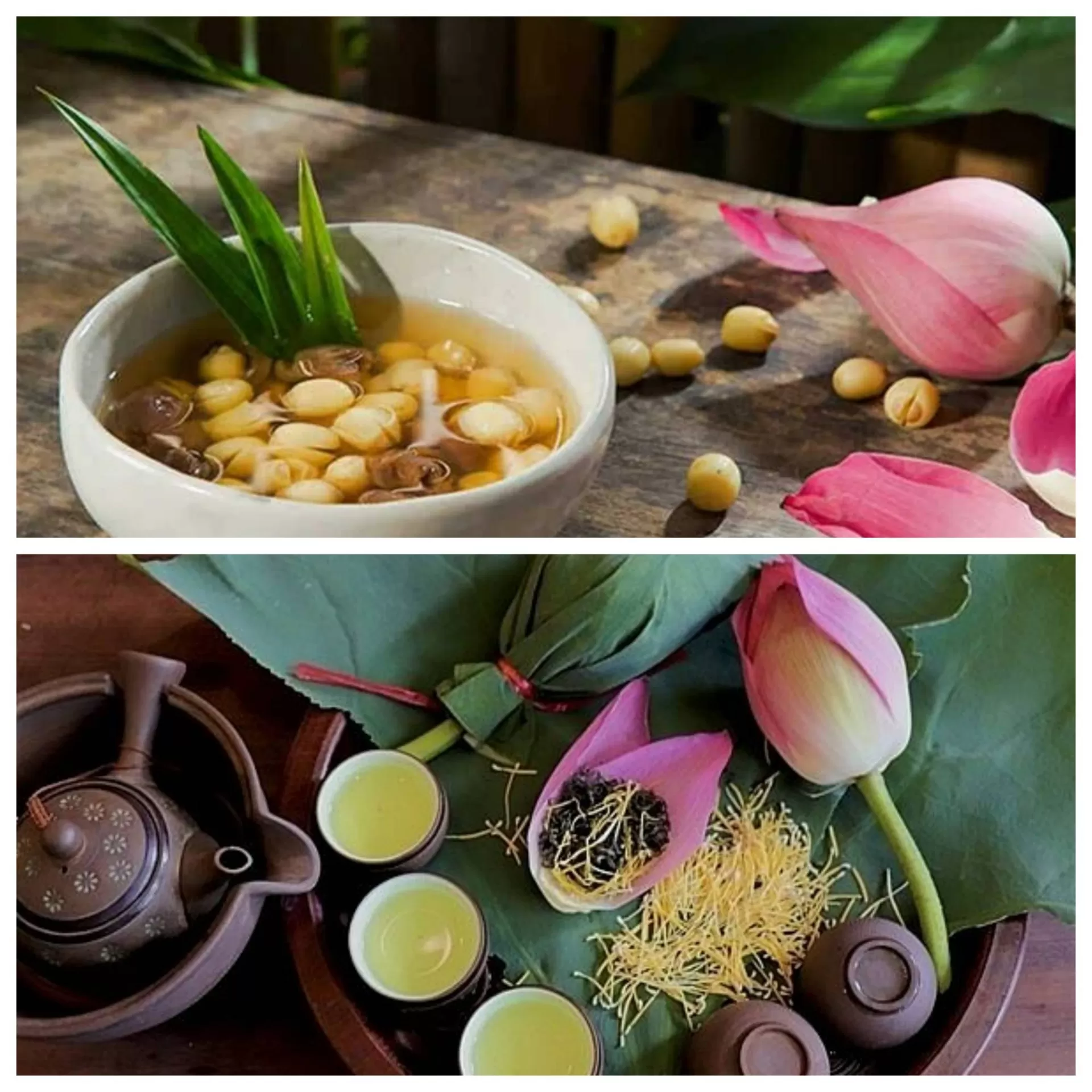 ベトナムの蓮花